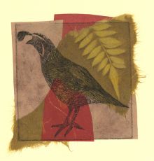 Quail