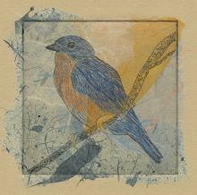 Small Bluebird